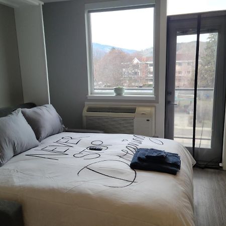 Cozy Studio Suite, 15Min Walk To Downtown Kelowna Zewnętrze zdjęcie
